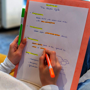 SHINE-UP 1 SURLIGNEUR COLORIS ROSE