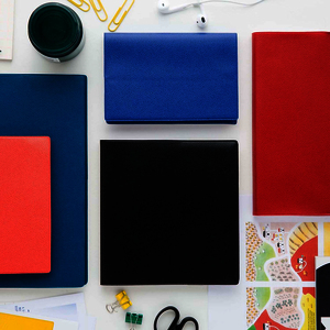 LE PROFESSEUR AO?T/JUILLET