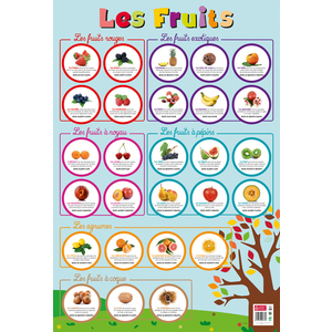 POSTER LES FRUITS