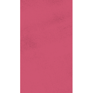 1 PUZZLE L'ECOLE DE DANSE 100 PIECES