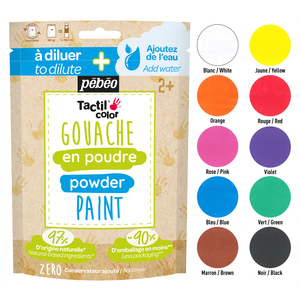 GOUACHE EN POUDRE CLASSPACK 10 X 180G COLORIS ASSORTIS + ACCESSOIRES