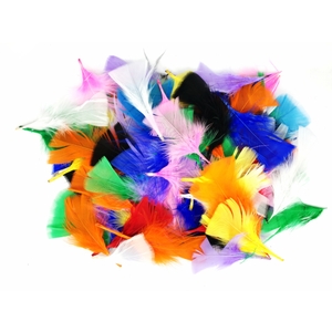 1000 PLUMES FORMES,TAILLES ET COLORIS ASSORTIS